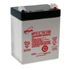 Accumulator battery Genesis NP2,9- 12