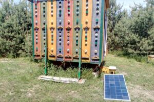 Solar panels to help beekeepers: monitoring and power supply of remote objects