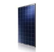 Батарея сонячна Ulica solar UL-275P-60 275Вт poly 5BB PERC