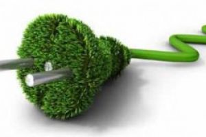What is the green tariff and how can it help you?